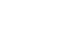 Allied Orion Group