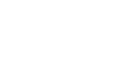 Team Automotive Group