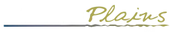 MetroPlains Management